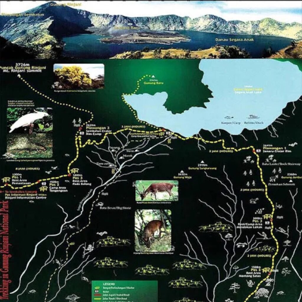 rinjani trekking