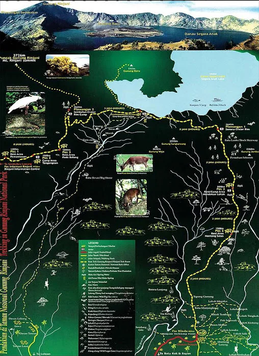 rinjani trekking